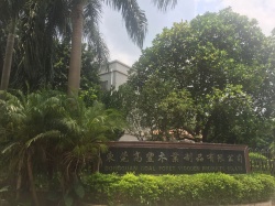 祝東莞市高豐木業(yè)制品有限公司2020年一次性通過BSCI/FCCA/SCS驗(yàn)廠審核