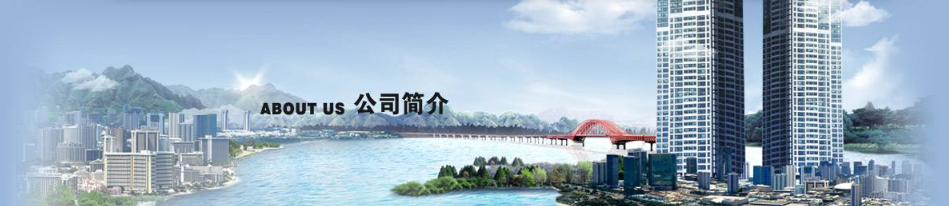 公司簡(jiǎn)介